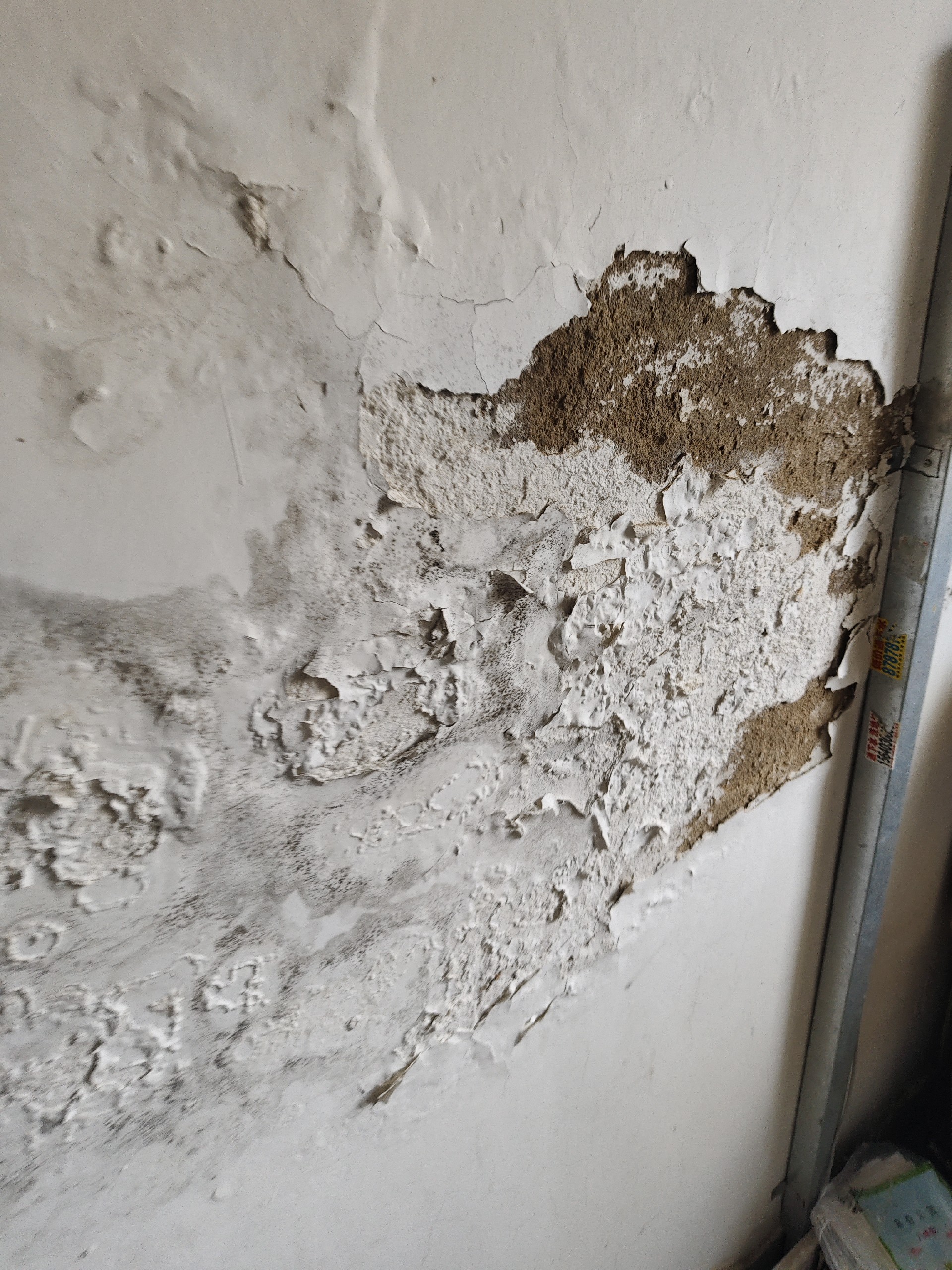 墙面渗水返碱起皮发霉